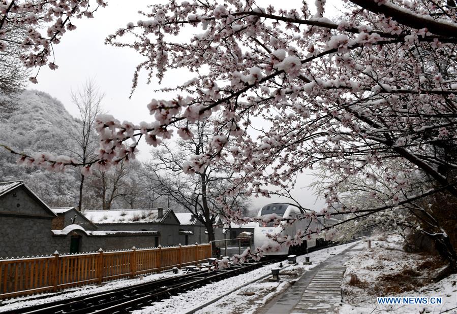 Beijing Greets Snow in April